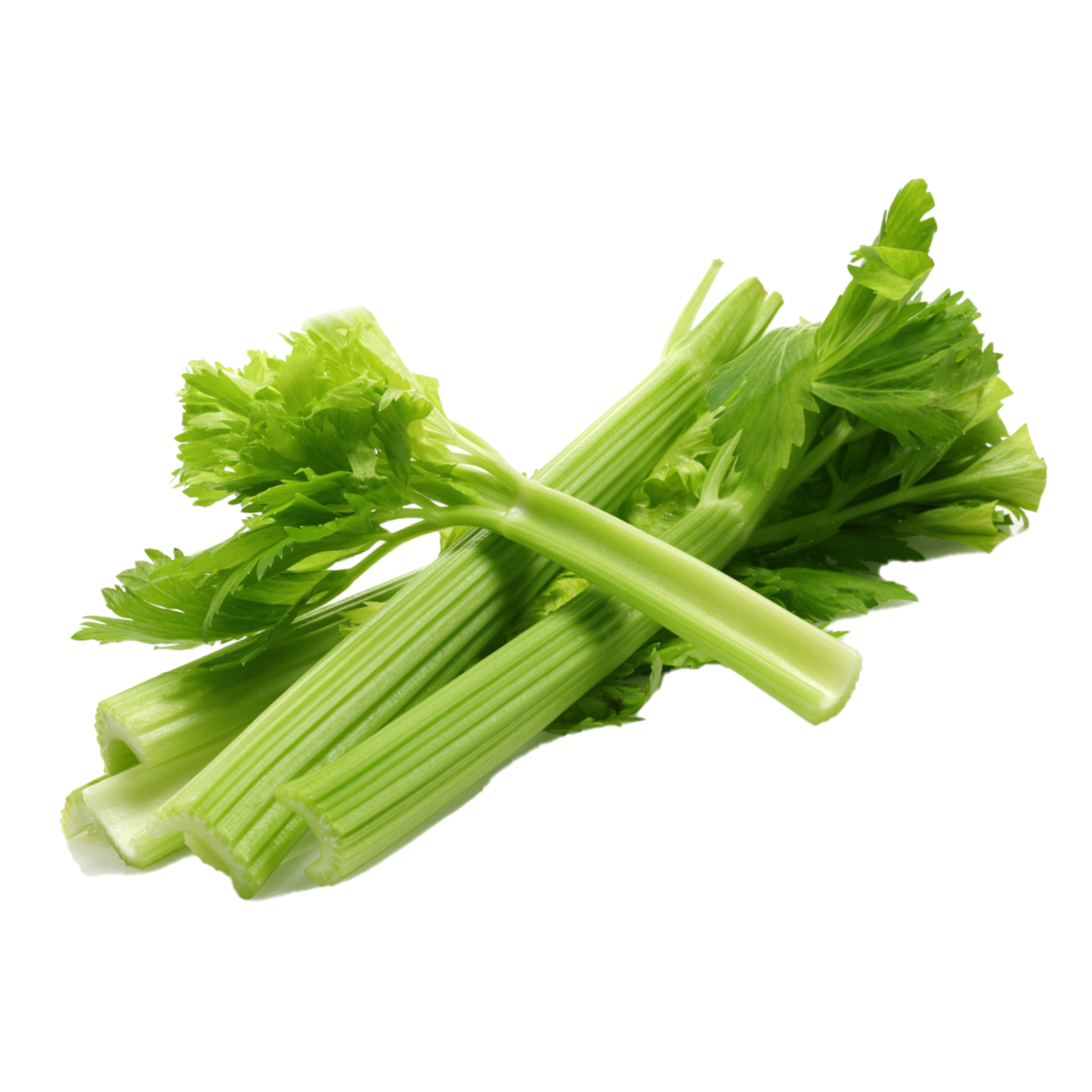 Buy Fresh Celery in Bhopal - SubziQuick