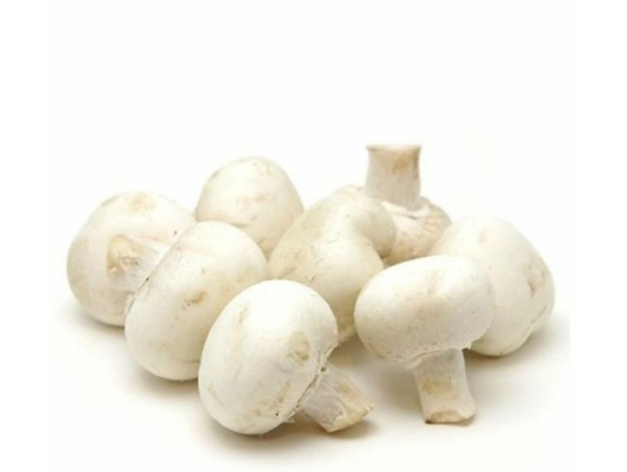 Buy Fresh Mushroom (मशरूम (Mushroom)) in Bhopal - SubziQuick